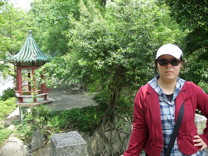 2010-�����Ž�